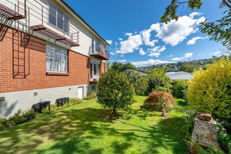 Photo of property in 39 Opoho Road, North East Valley, Dunedin, 9010