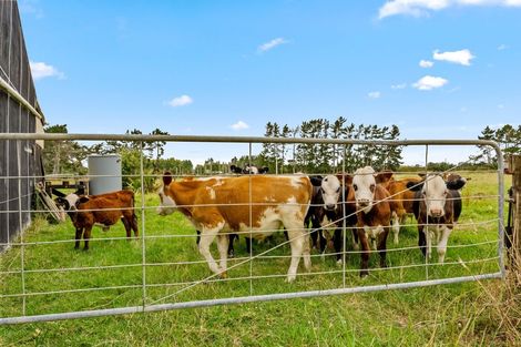 Photo of property in 331 South Head Road, South Head, Helensville, 0874