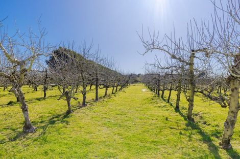 Photo of property in 235 State Highway 26, Newstead, Hamilton, 3286