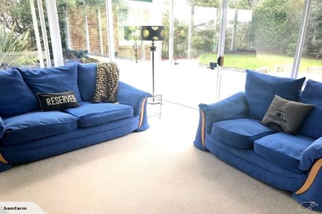 Photo of property in 50 Pagitt Street, Coromandel, 3506