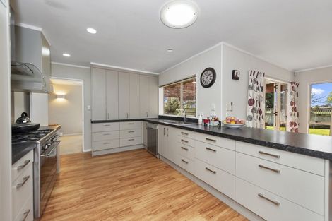 Photo of property in 17 Halcione Close, Flagstaff, Hamilton, 3210