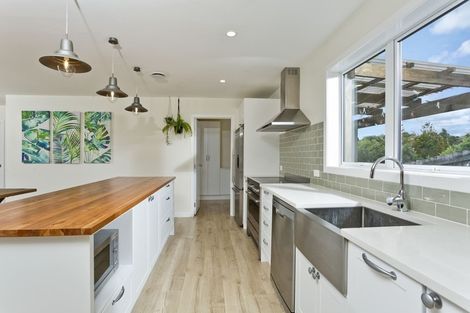 Photo of property in 41a Coronation Road, Hillcrest, Auckland, 0627