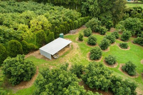 Photo of property in 63a Snodgrass Road, Te Puna, Tauranga, 3174