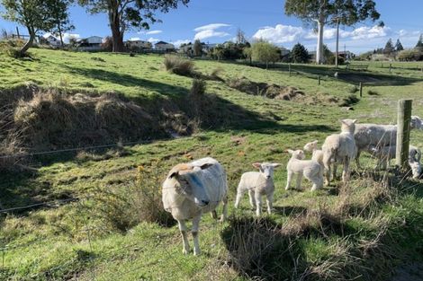 Photo of property in 6a Gresham Street, Geraldine, 7930