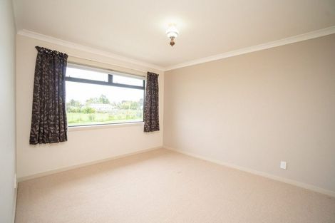 Photo of property in 566 Taonui Road, Colyton, Feilding, 4775