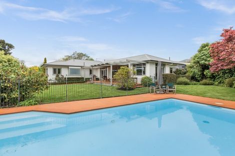 Photo of property in 42 Mchardy Street, Havelock North, 4130