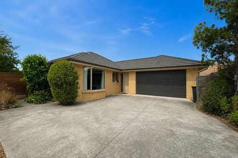 Photo of property in 41 Bibiana Street, Aidanfield, Christchurch, 8025