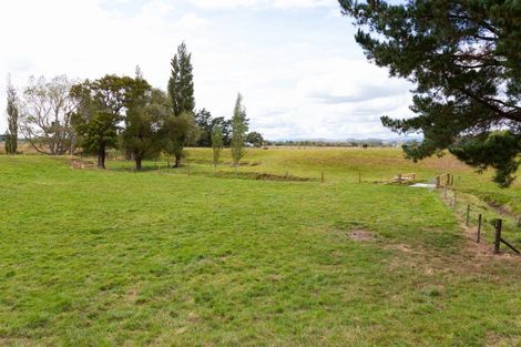 Photo of property in 61 Franklin Road, Woodville, 4999