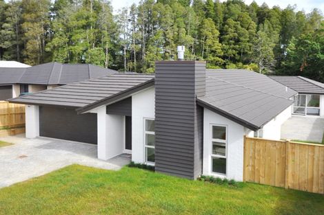 Photo of property in 14 Lisle Farm Drive, Pukekohe, 2120