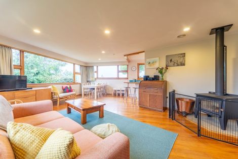 Photo of property in 17 Hewlings Street, Geraldine, 7930