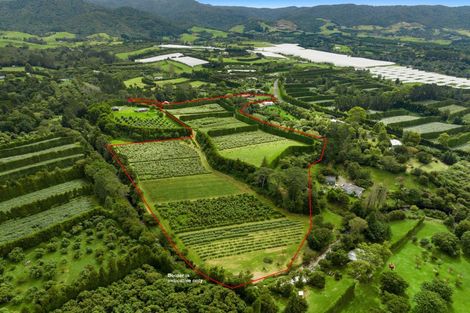 Photo of property in 40 Killen Road, Tahawai, Katikati, 3178