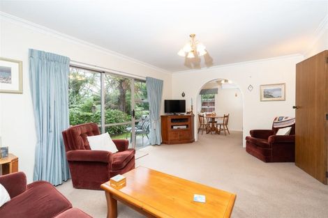 Photo of property in 117b Clarkin Road, Fairfield, Hamilton, 3214