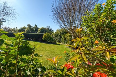 Photo of property in 92 Bethlehem Heights, Bethlehem, Tauranga, 3110