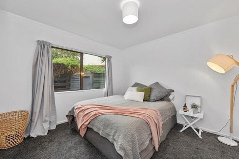 Photo of property in 8a Park Terrace, Hamilton Central, Hamilton, 3204