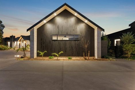 Photo of property in 205a Cameron Town Road, Pukekohe, 2678