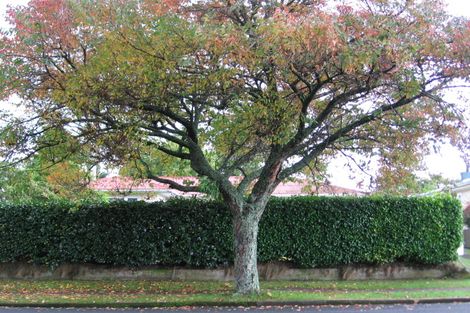 Photo of property in 114 Papanui Street, Tokoroa, 3420