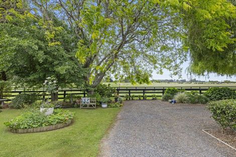 Photo of property in 130 Tarr Road, Ohaupo, 3881