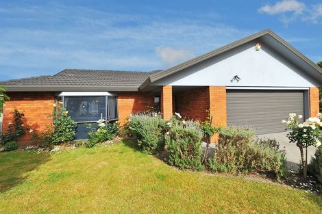 Photo of property in 6 Quattro Avenue, Flat Bush, Auckland, 2019