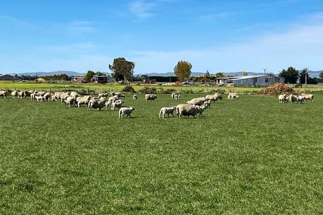 Photo of property in 192 Beck Road, Balfour, 9779