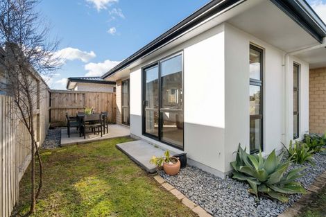 Photo of property in 20 Bronze Court, Papamoa, 3118