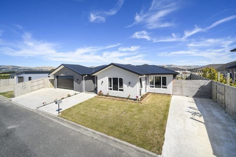 Photo of property in 126 Johnstone Drive, Fitzherbert, Palmerston North, 4410