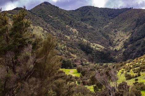 Photo of property in 843 Mangatarere Valley Road, West Taratahi, Carterton, 5791