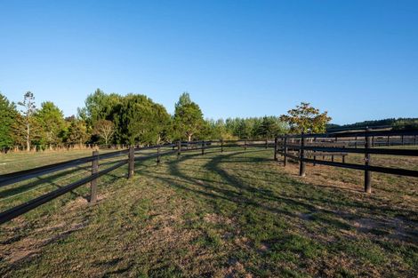 Photo of property in 903 Old North Road, Waimauku, 0882