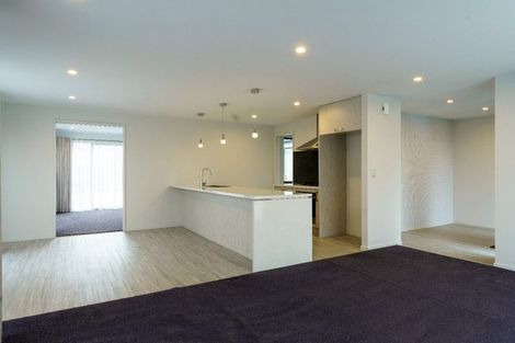 Photo of property in 17 Goh Street, Lincoln, 7608