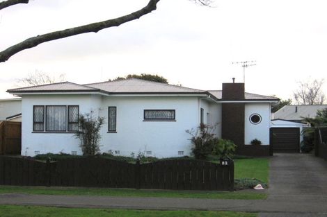 Photo of property in 82 Guy Avenue, Takaro, Palmerston North, 4410