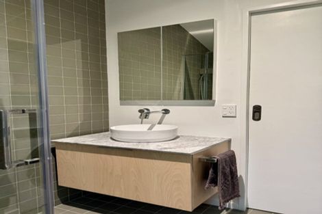 Photo of property in 149b Coromandel Street, Newtown, Wellington, 6021