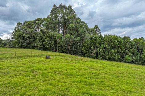 Photo of property in 15 Mangotahi Road, Thames, 3577