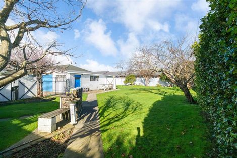 Photo of property in 11 York Street, Levin, 5510