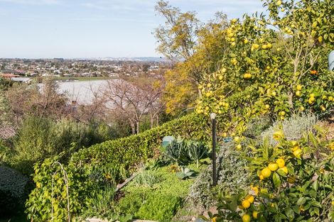 Photo of property in 116 Kent Terrace, Taradale, Napier, 4112