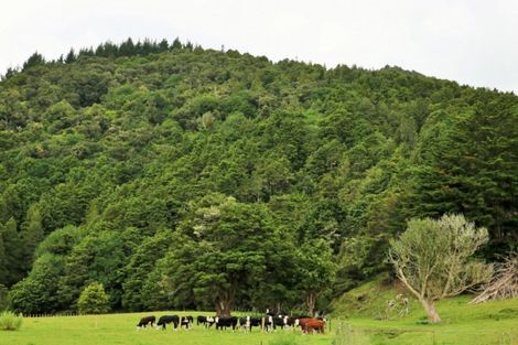 Photo of property in 1008 Tangowahine Valley Road, Tangowahine, Dargaville, 0372