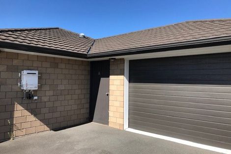 Photo of property in 1/193 Massey Street, Frankton, Hamilton, 3204