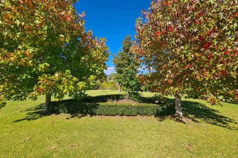 Photo of property in 905 Tiki Sh25 Road, Coromandel, 3506