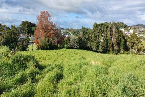 Photo of property in 59 Griffin Road, Maungaturoto, 0583