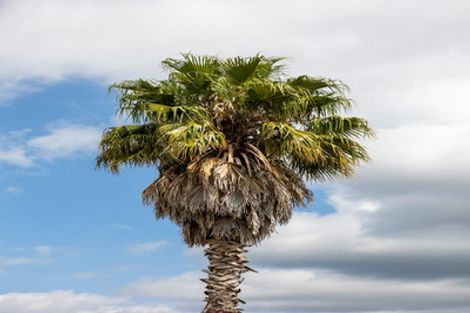 Photo of property in 48 Manor Park Drive, Pyes Pa, Tauranga, 3112