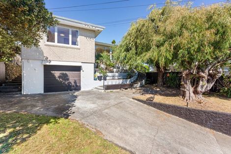 Photo of property in 41 Lupin Road, Otaki, 5512