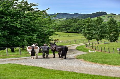 Photo of property in 65b Ngakoroa Road, Ormond, Gisborne, 4071