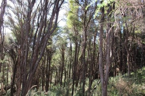 Photo of property in 181 Takaka-collingwood Highway, Rangihaeata, Takaka, 7182