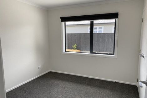 Photo of property in 77a Guy Avenue, Takaro, Palmerston North, 4410