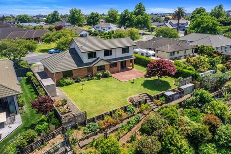 Photo of property in 124 Bethlehem Heights, Bethlehem, Tauranga, 3110