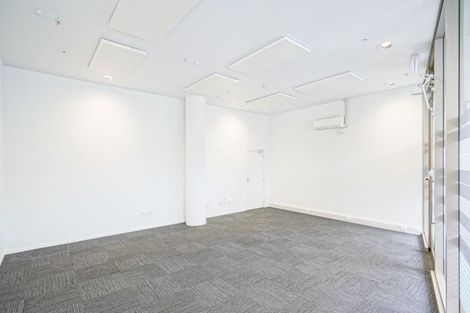 Photo of property in 251/2 Market Lane, Wellington Central, Wellington, 6011