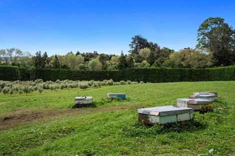 Photo of property in 40 Killen Road, Tahawai, Katikati, 3178