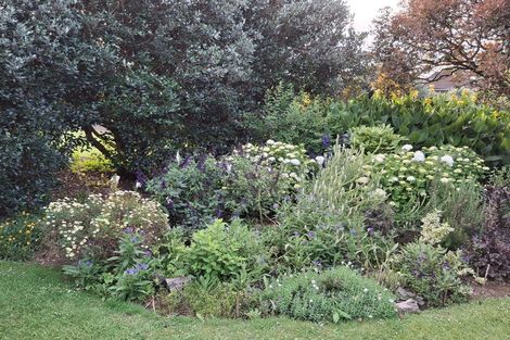 Photo of property in 154 Stanley Avenue, Te Aroha, 3320