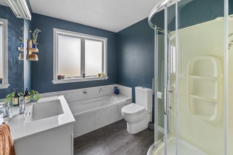 Photo of property in 703a Buller Street, Akina, Hastings, 4122