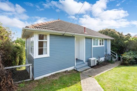 Photo of property in 30 Panmure Avenue, Calton Hill, Dunedin, 9012