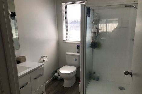 Photo of property in 1/193 Massey Street, Frankton, Hamilton, 3204