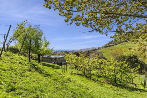 Photo of property in 583 Hill Street South, Hope, Richmond, 7081